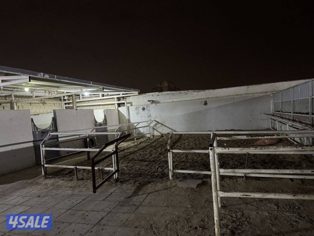 للإيجار جاخور شهري1