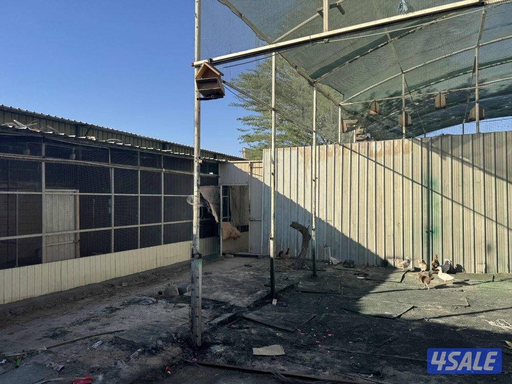 للإيجار مخزن2