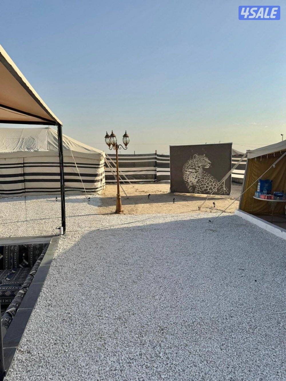 ⛺️ كشتة الفايز8