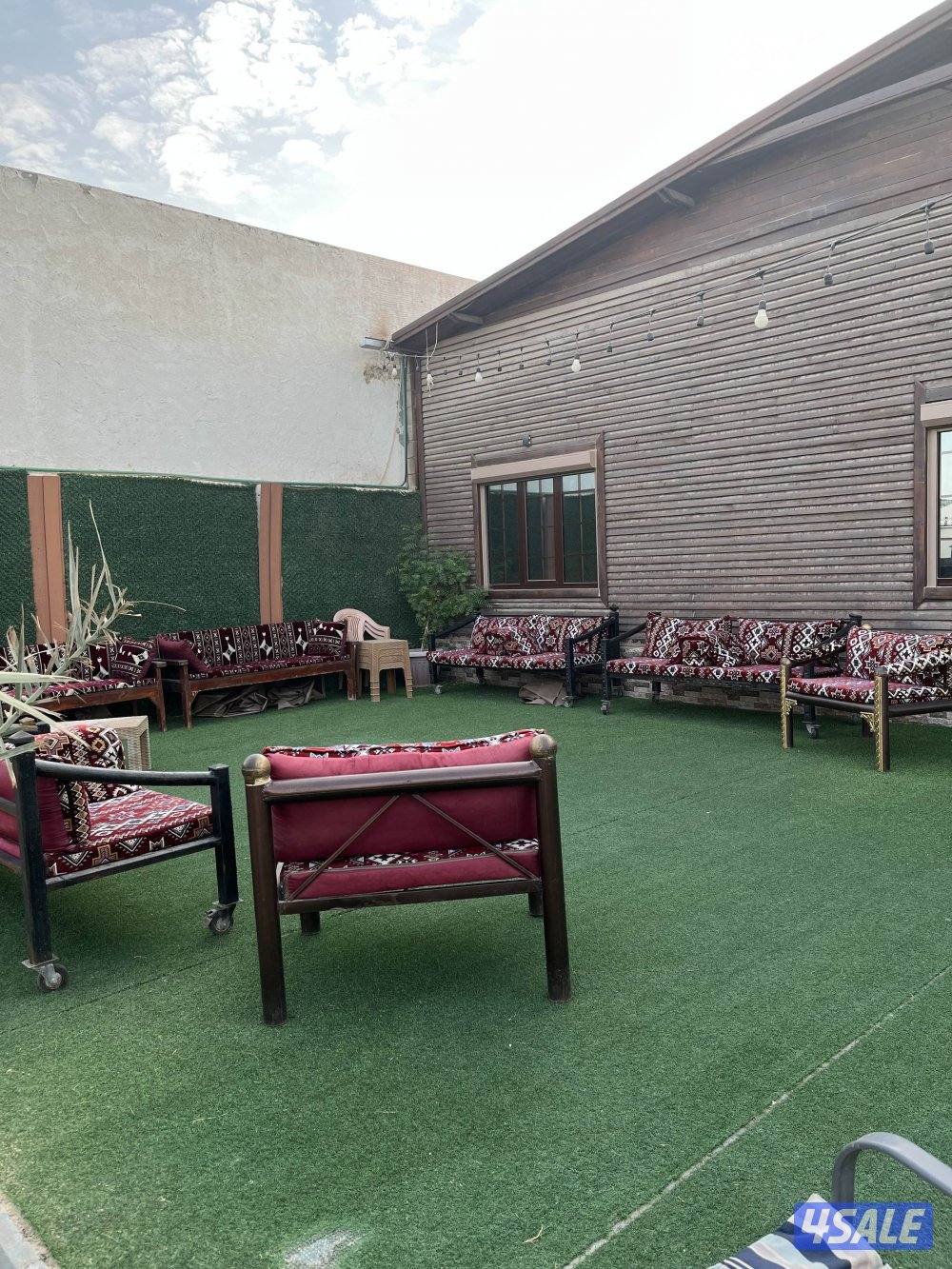 للايجار اليومي فقط الهجن كبد0