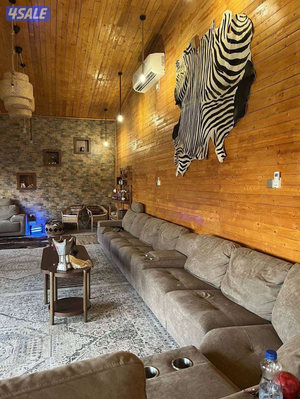 للايجار اليومي فقط الهجن كبد2