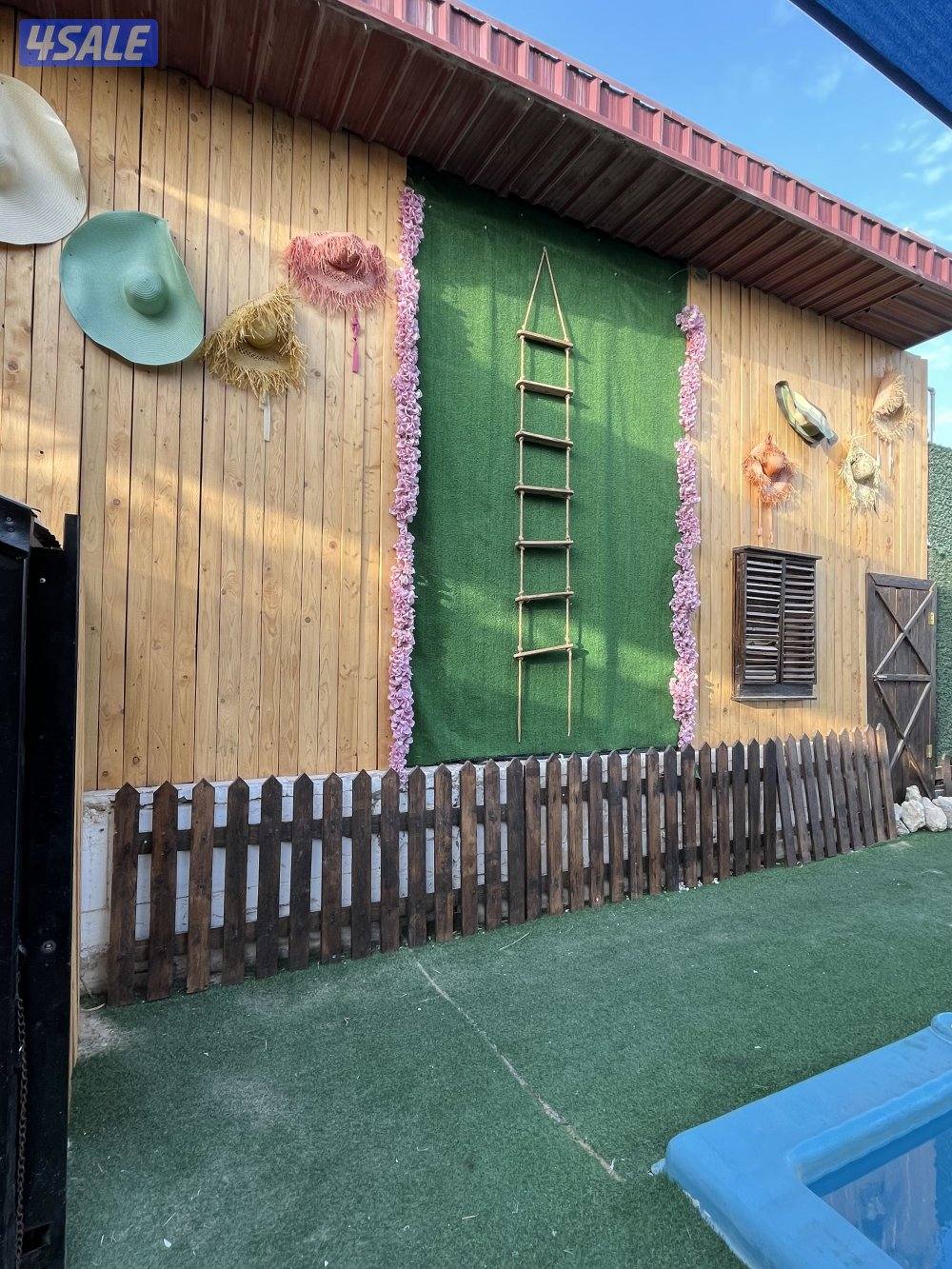 للايجار اليومي فقط الهجن كبد9