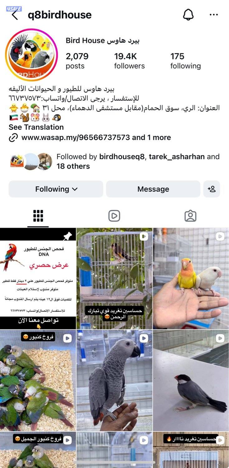 دفعة كروان، زيبرا،طيور الحب و فنشات و بلابل و حساسين تغريد11