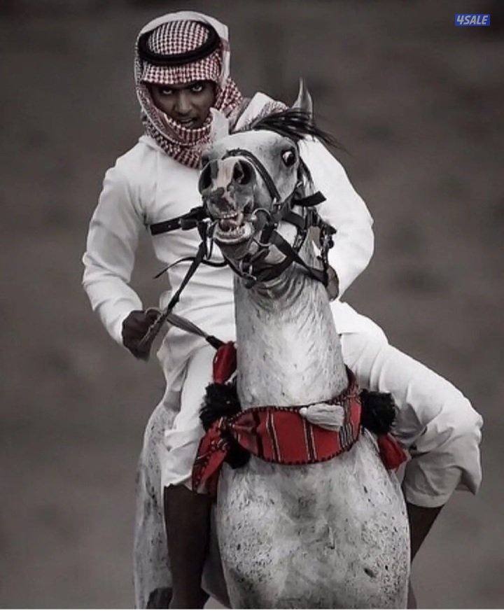 بدل طلب 2003 مع ارض المطلاع0