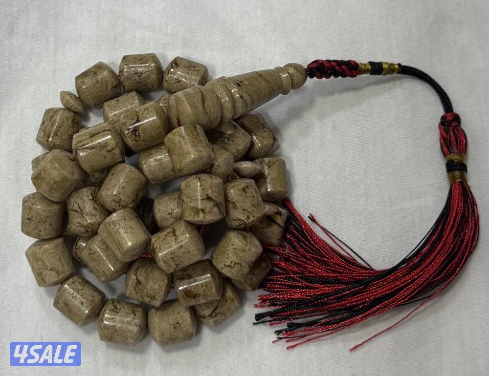 كهرب سومطرى0