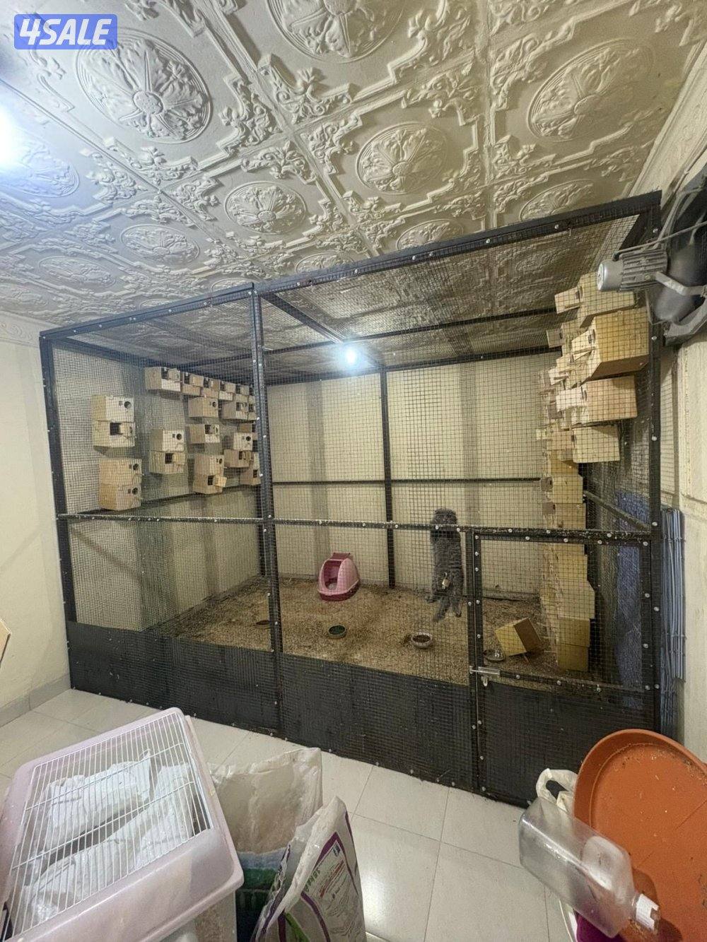 البيع محميه فك و تركيب1