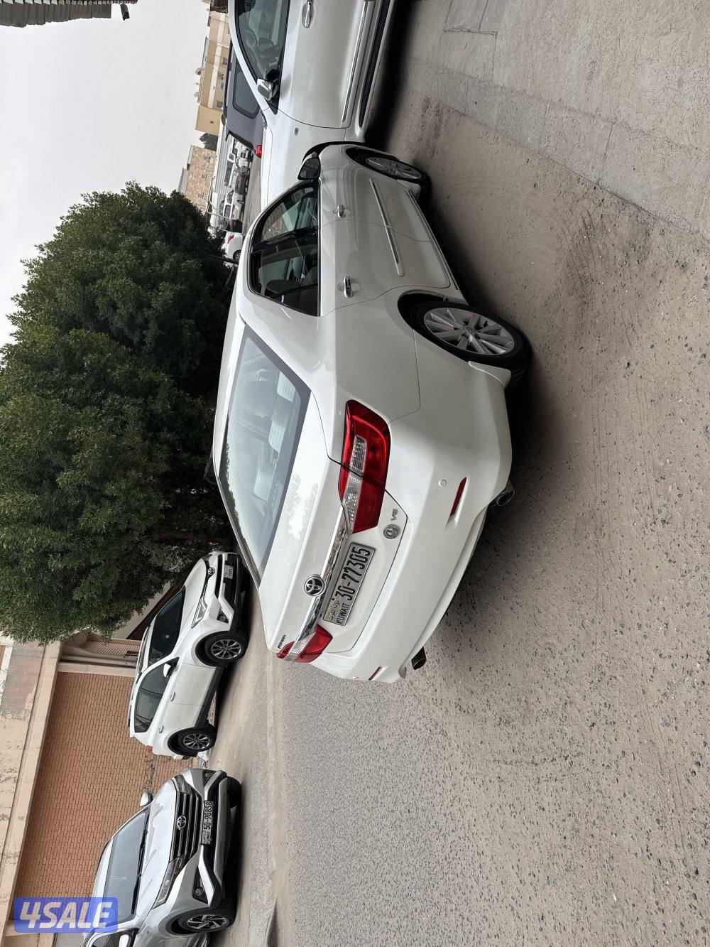 ماشية 190 الف1