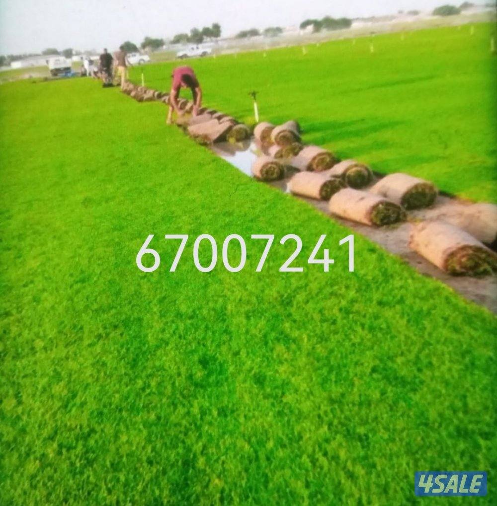 تنسيق حدائق تيل صناعي تيل طبيعي أسوار تركي دزينات بديل خشب ثري9