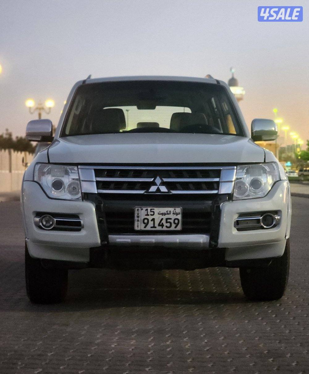 باجيرو صبغ الوكالة م20171