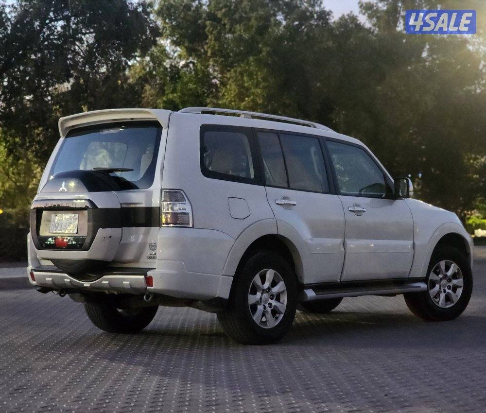 باجيرو صبغ الوكالة م20173