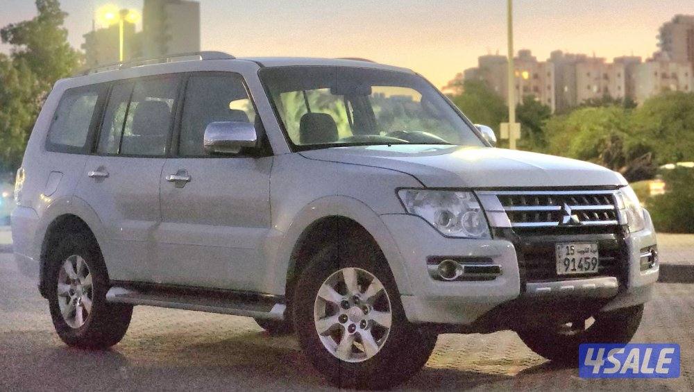 باجيرو صبغ الوكالة م20175