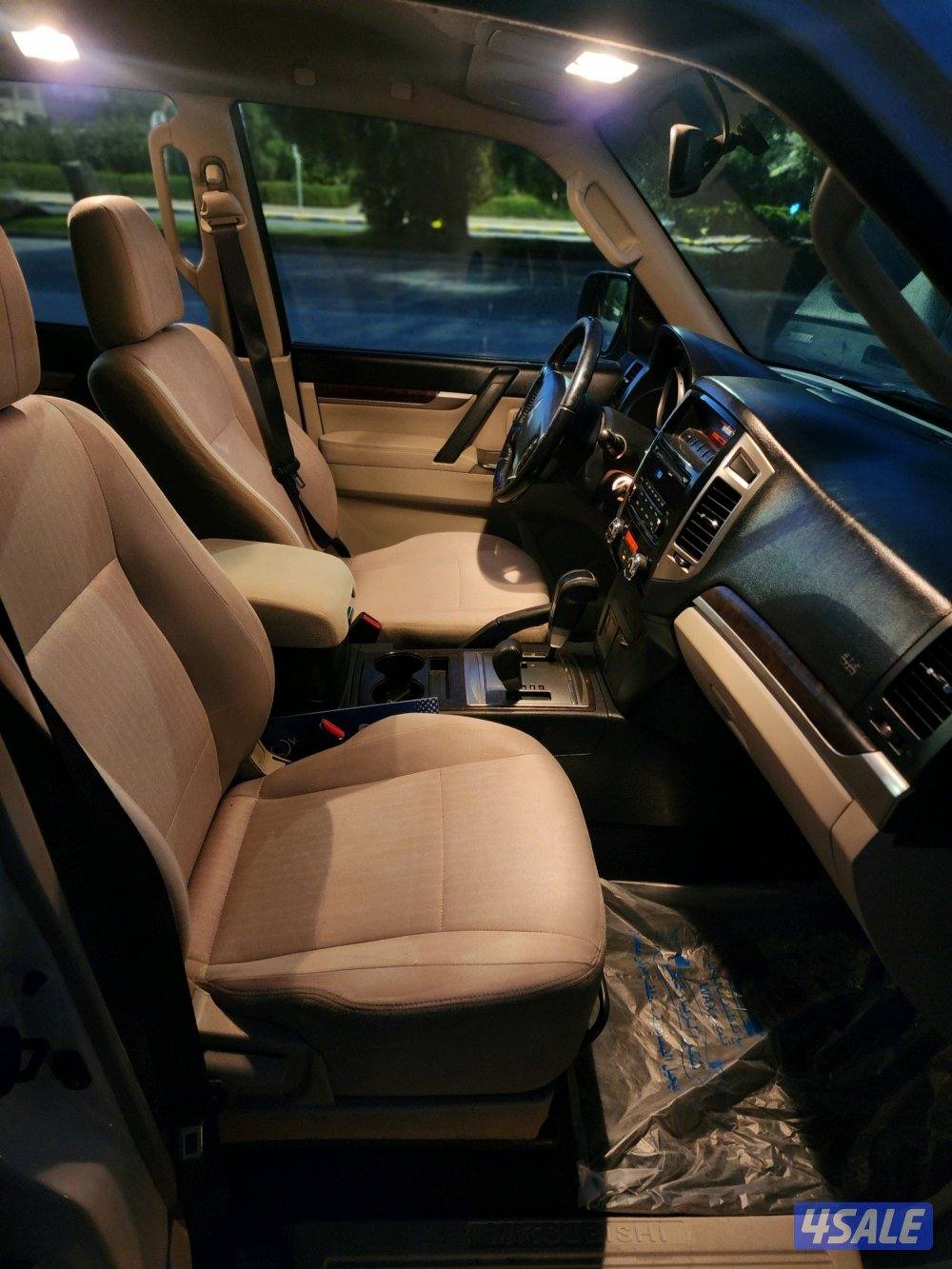 باجيرو صبغ الوكالة م20176