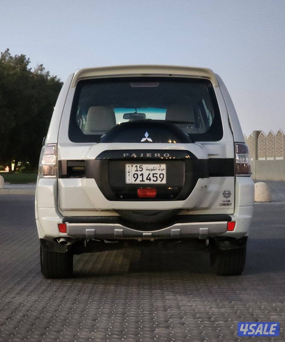 باجيرو صبغ الوكالة م20172