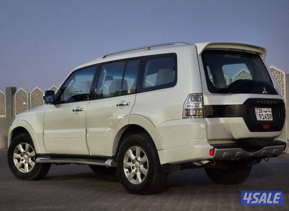 باجيرو صبغ الوكالة م20174