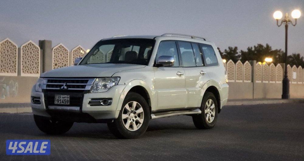 باجيرو صبغ الوكالة م20170