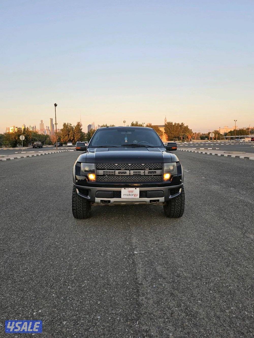 فورد رابتر 20133