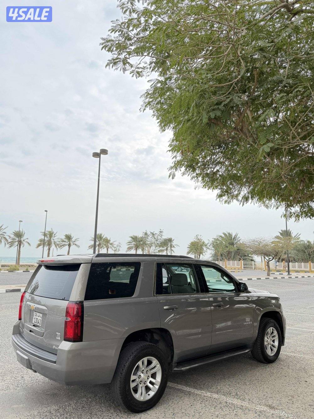 صبغ الوكاله1