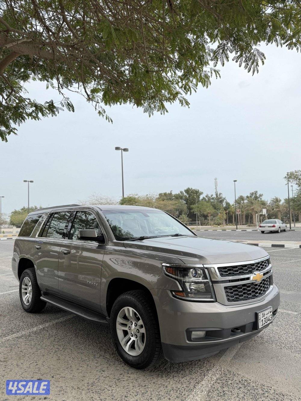 صبغ الوكاله2