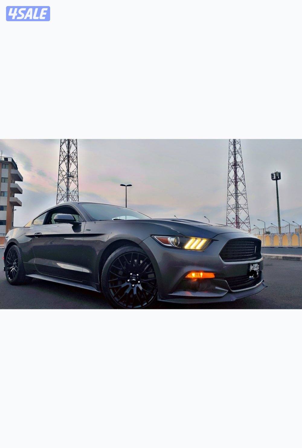 موستنق برفورمنس قير عادي2