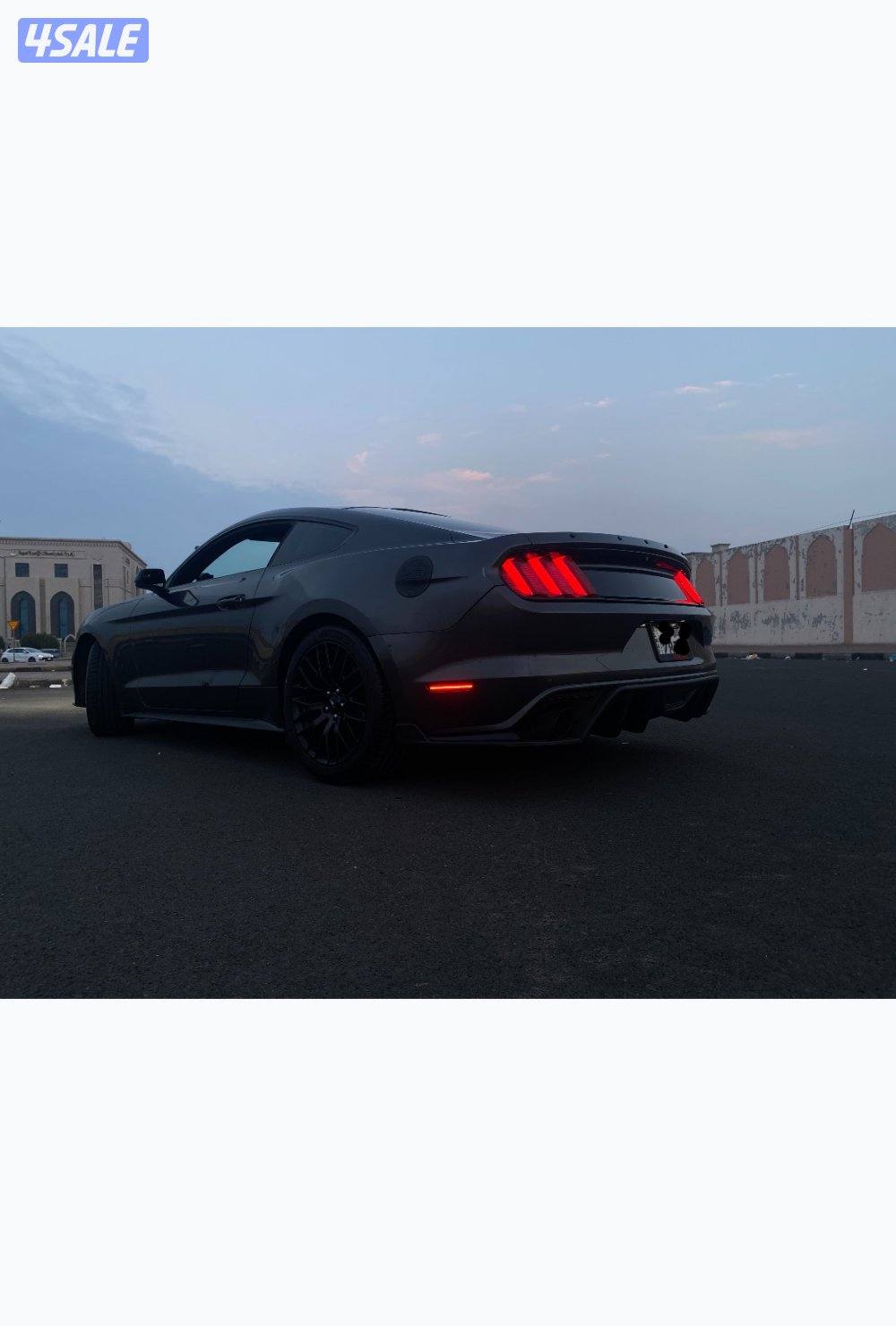 موستنق برفورمنس قير عادي1