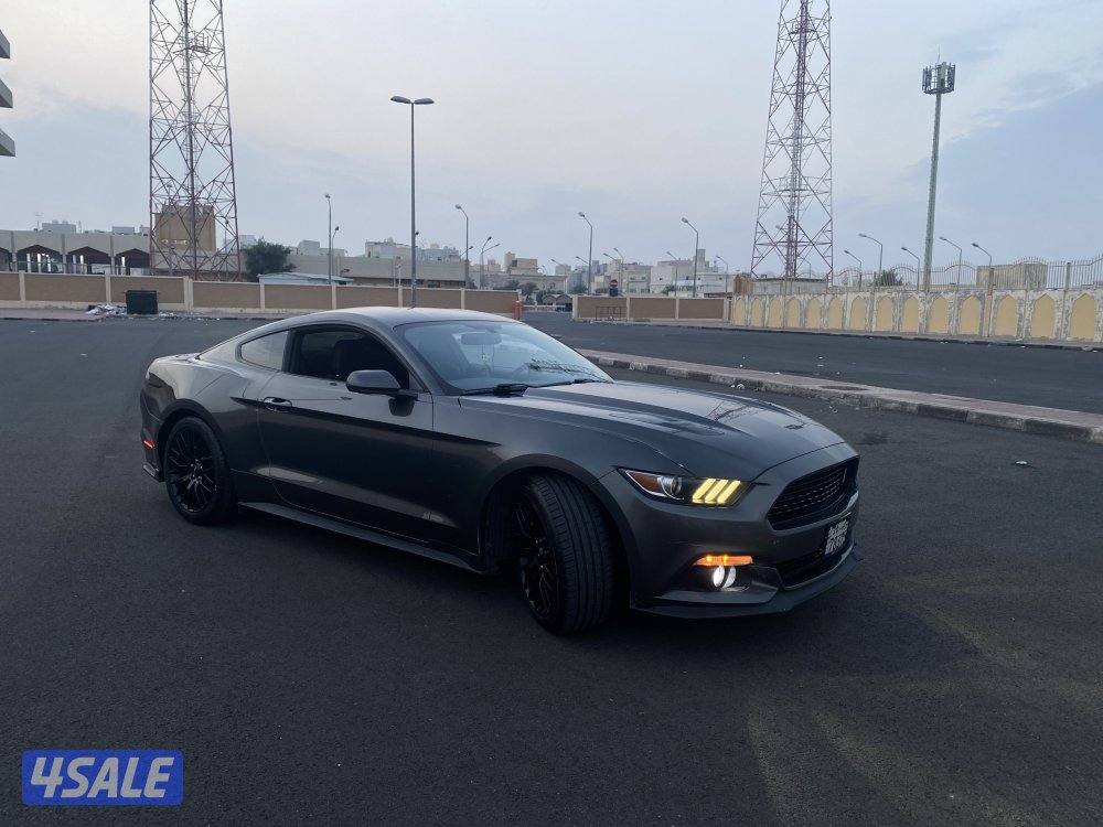 موستنق برفورمنس قير عادي3