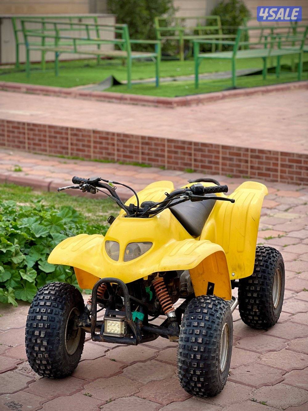 50CC Buggy0