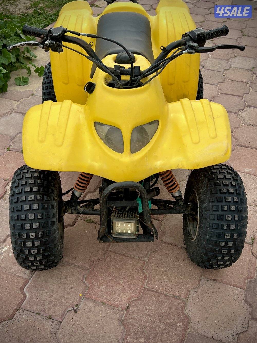 50CC Buggy2