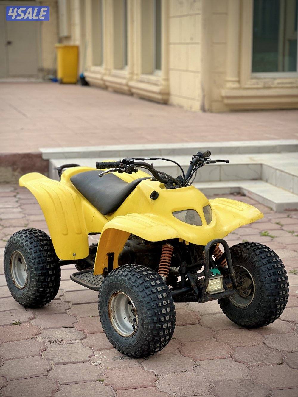 50CC Buggy3