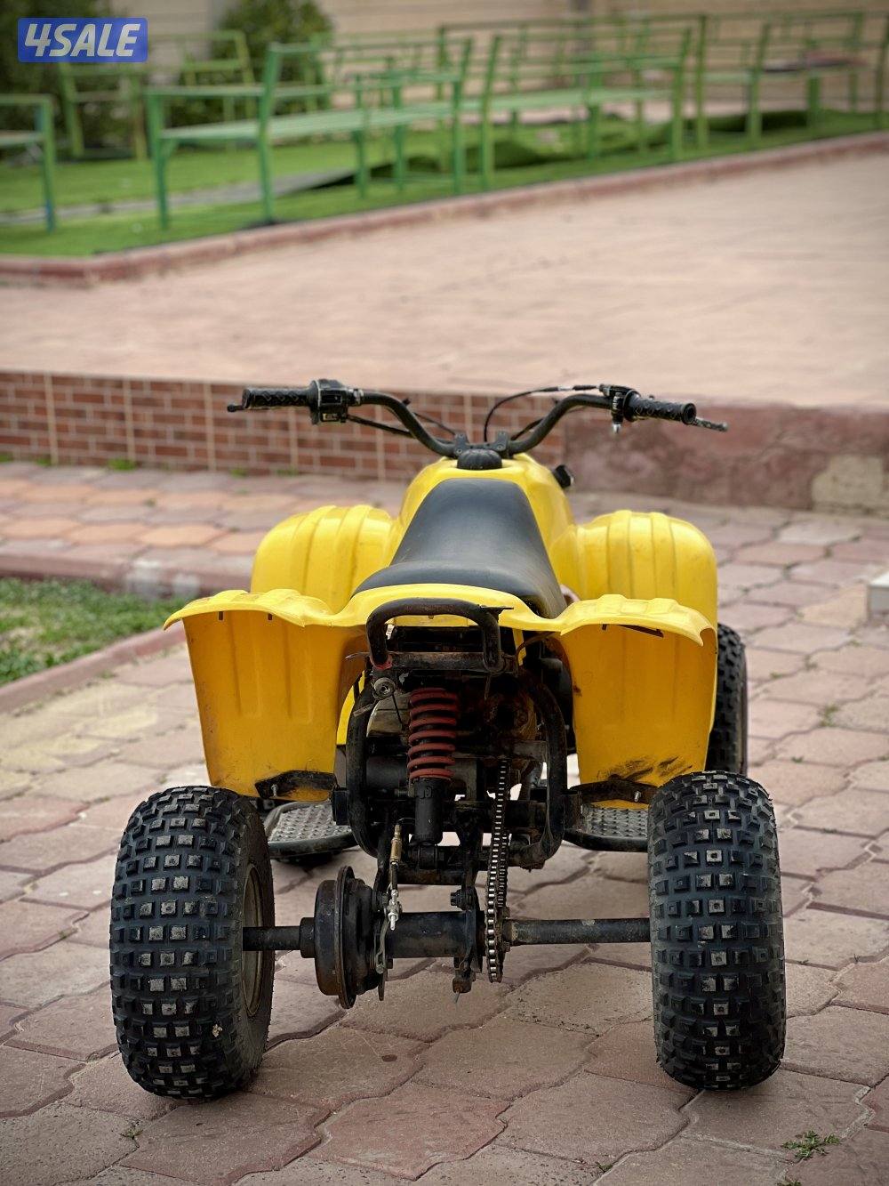 50CC Buggy4