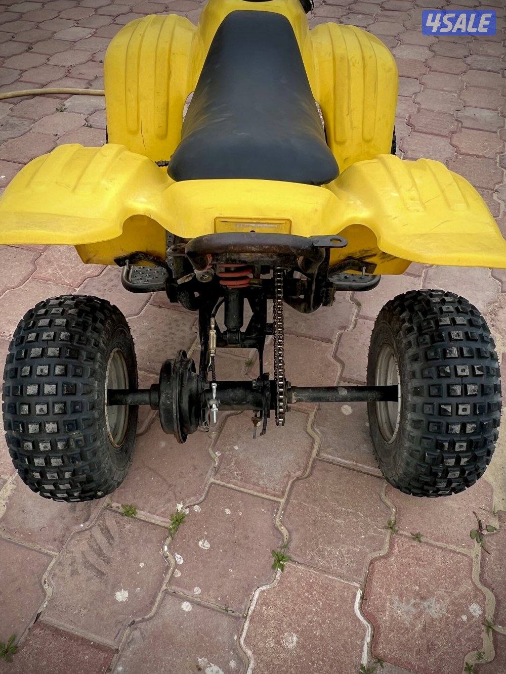50CC Buggy5