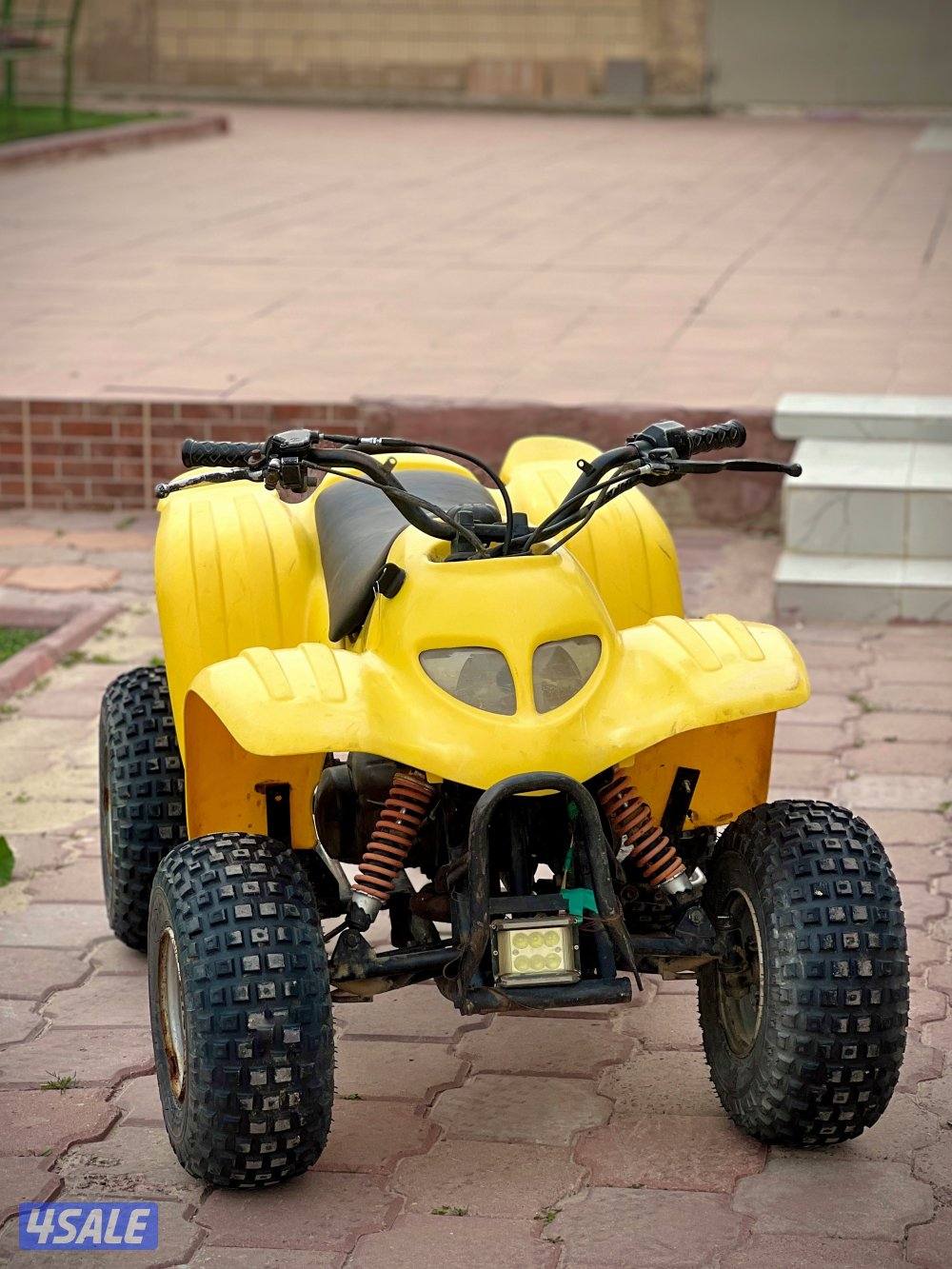 50CC Buggy6