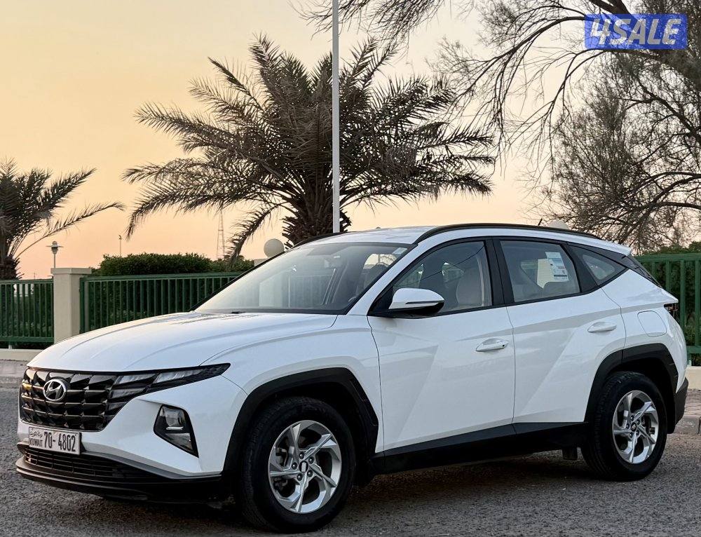 hyundai Tuscan 20220