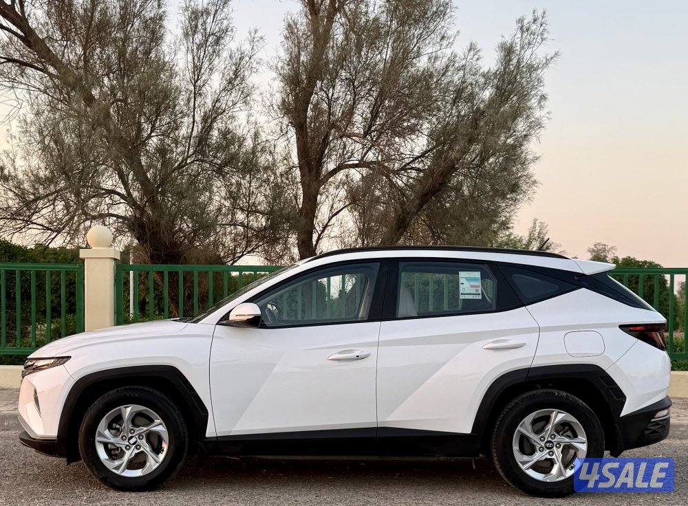 hyundai Tuscan 20227