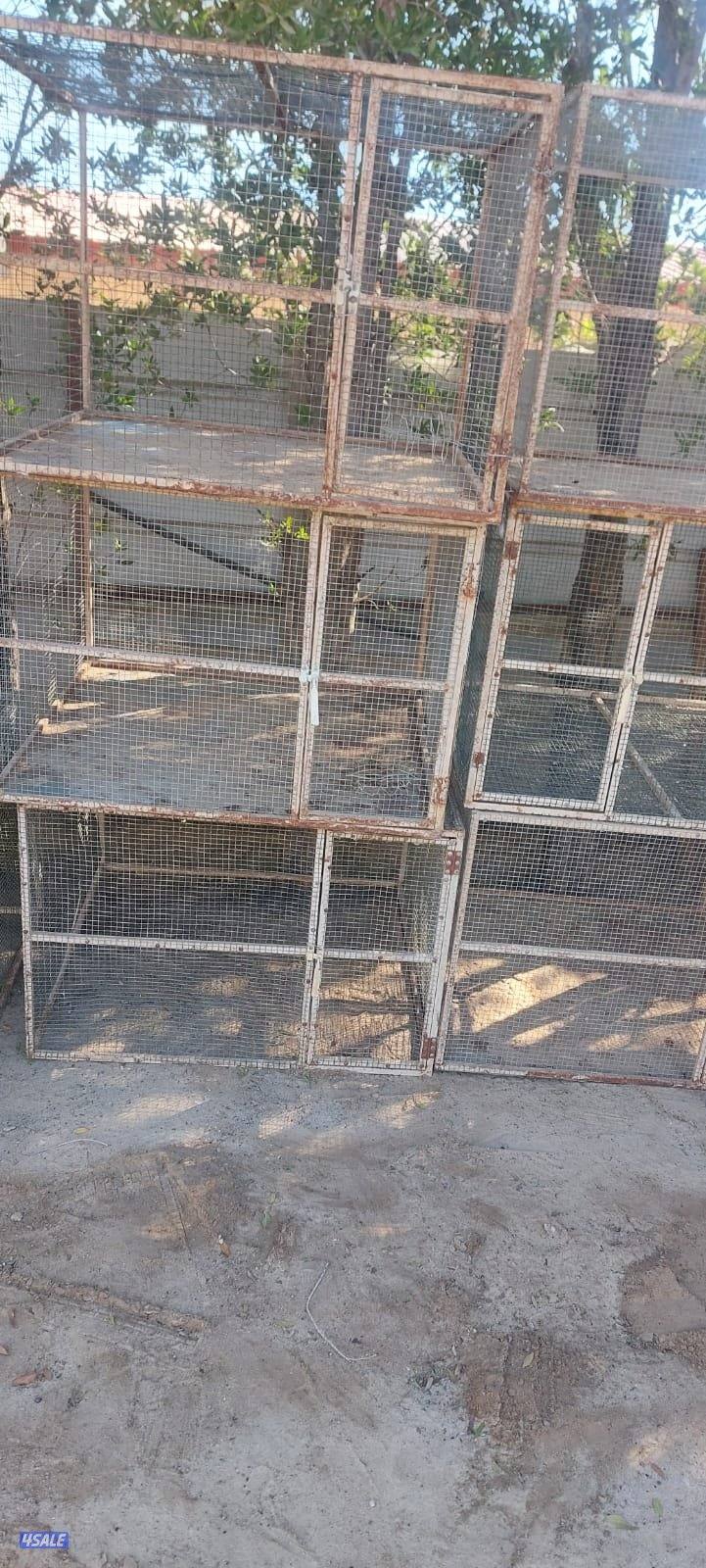 محاصير واقفاص1