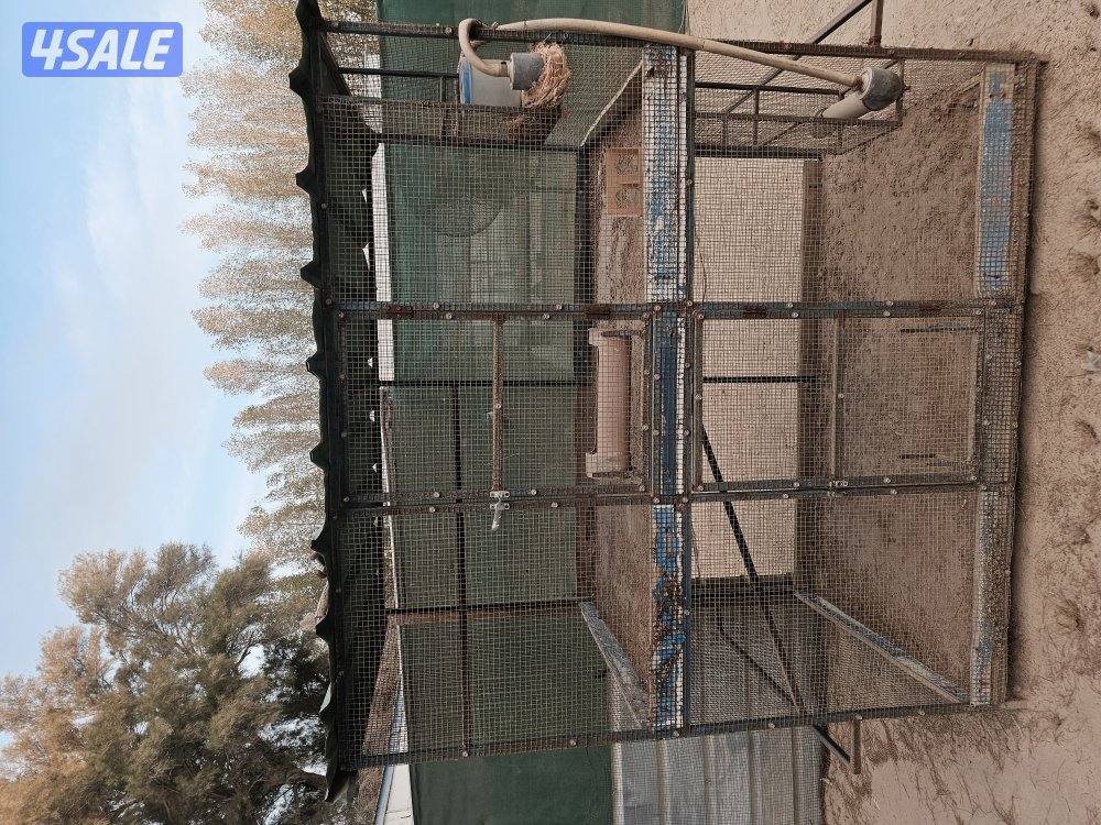 محاصير واقفاص3