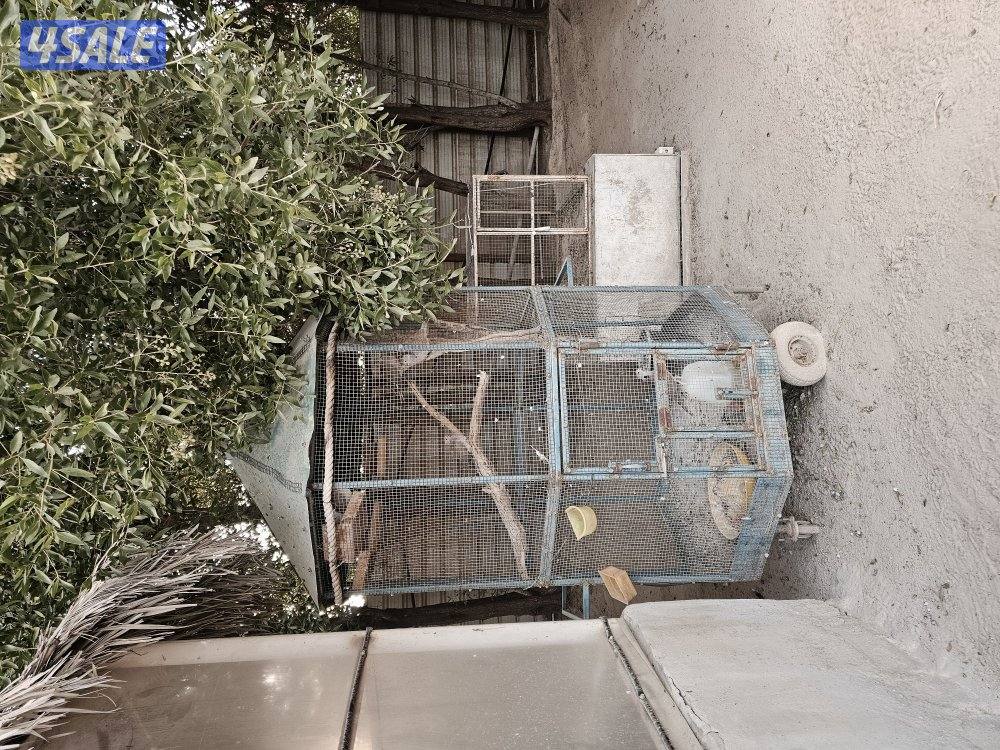 محاصير واقفاص4