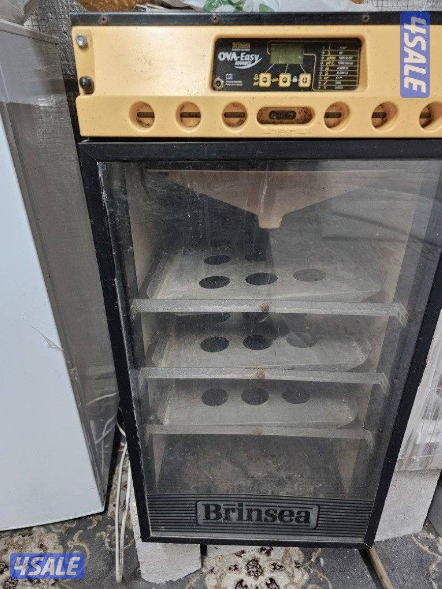 فقاسة نايف0