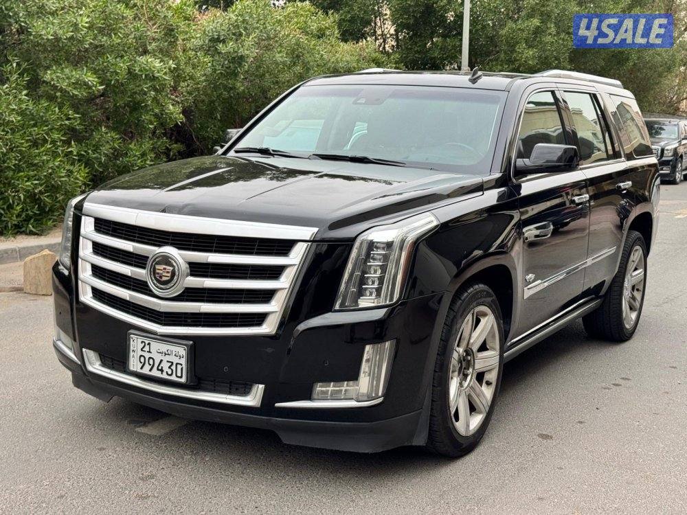 اسكاليد بلاتنيوم صبغ الوكالة1