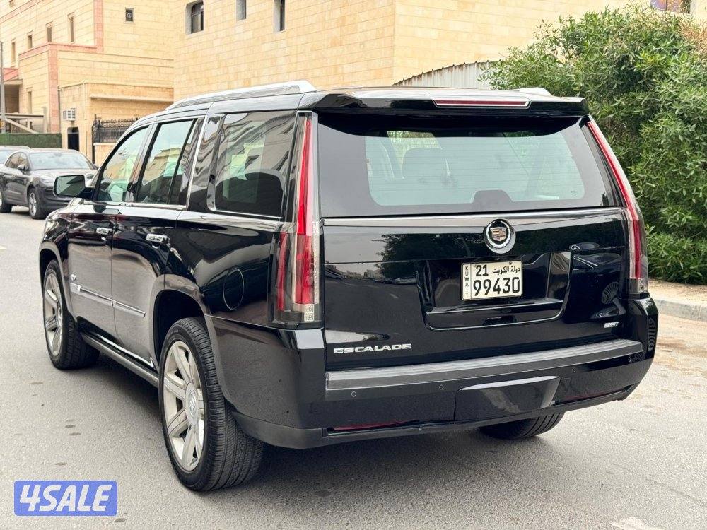 اسكاليد بلاتنيوم صبغ الوكالة4