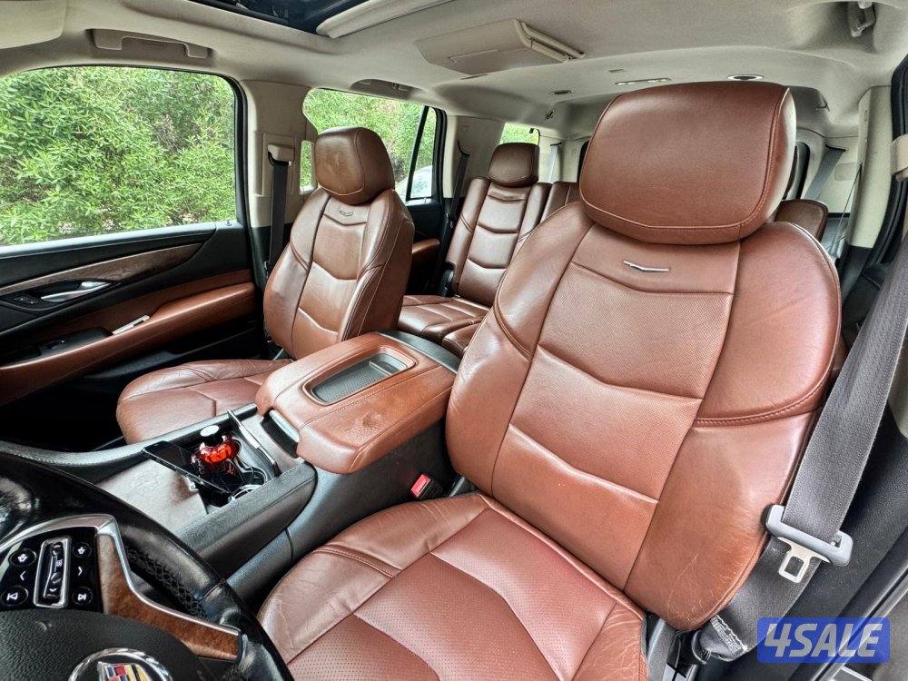 اسكاليد بلاتنيوم صبغ الوكالة11