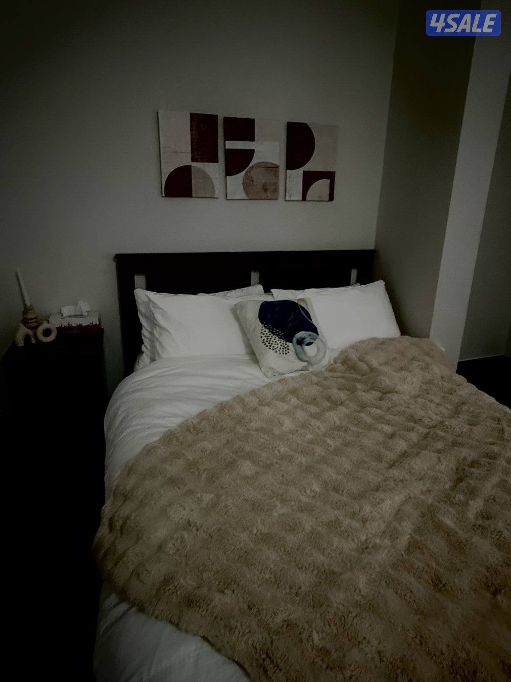 استوديو صغير للايجار اليومي  فقط1