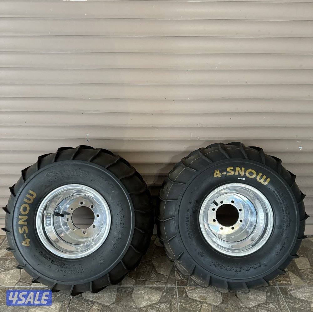 تواير ورنقات بانشي رابتر1