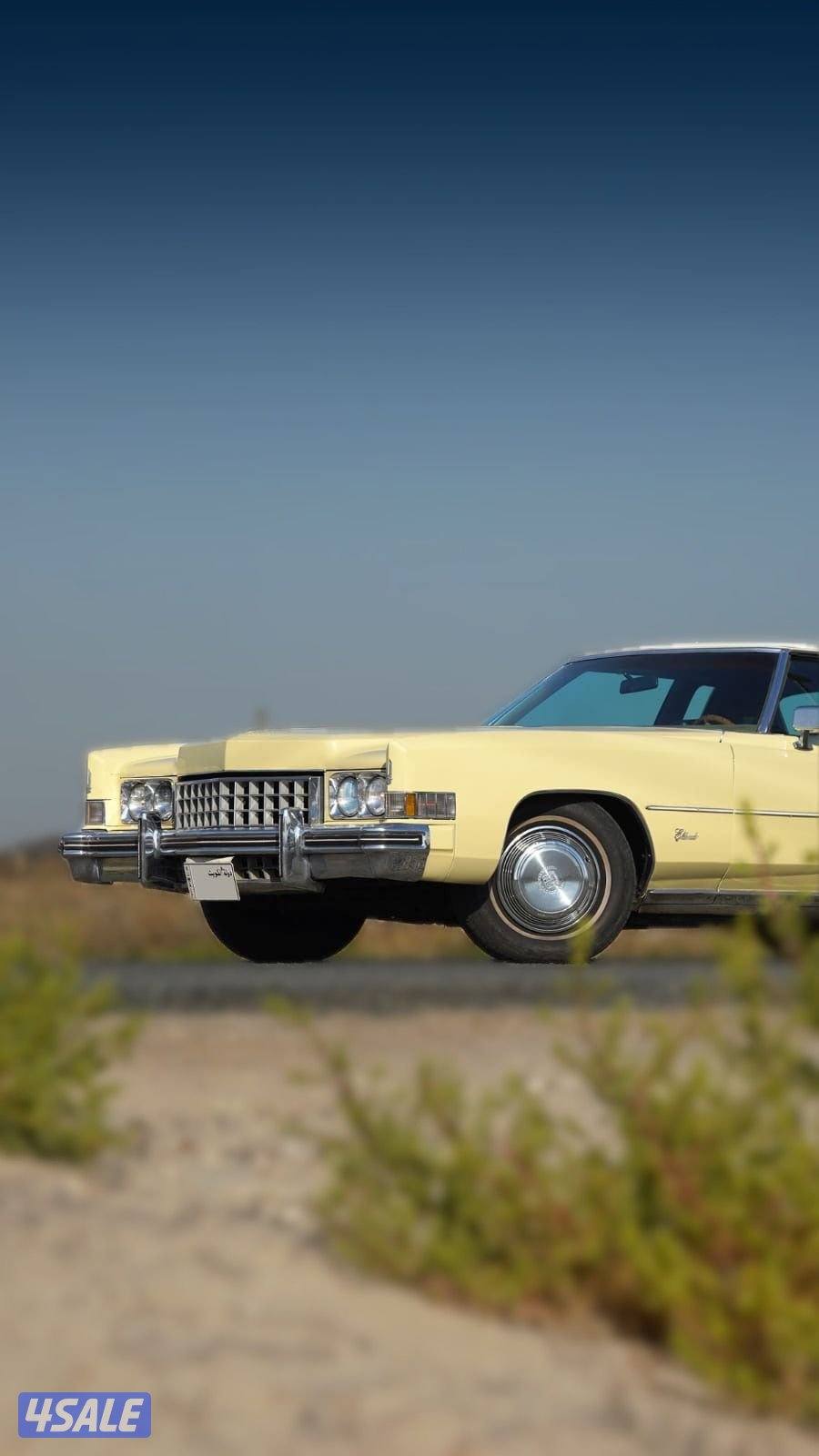 Cadillac Eldorado 19735