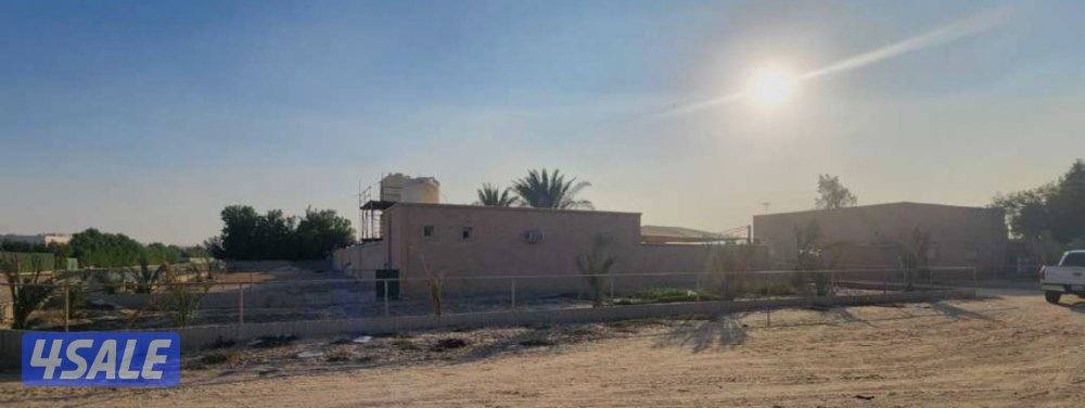 مطلوب جاخور0