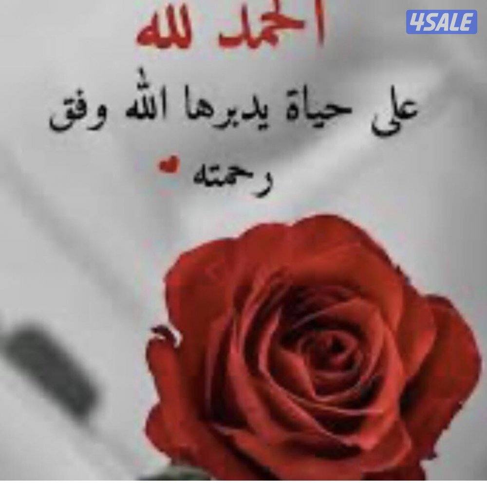 مدرسة تأسيس، الجهراء0