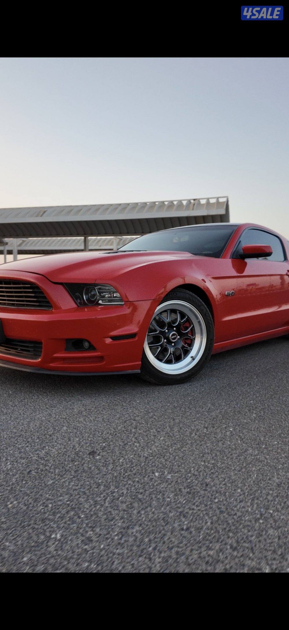 للبيع موستنق شاصي جيد توماتيك0