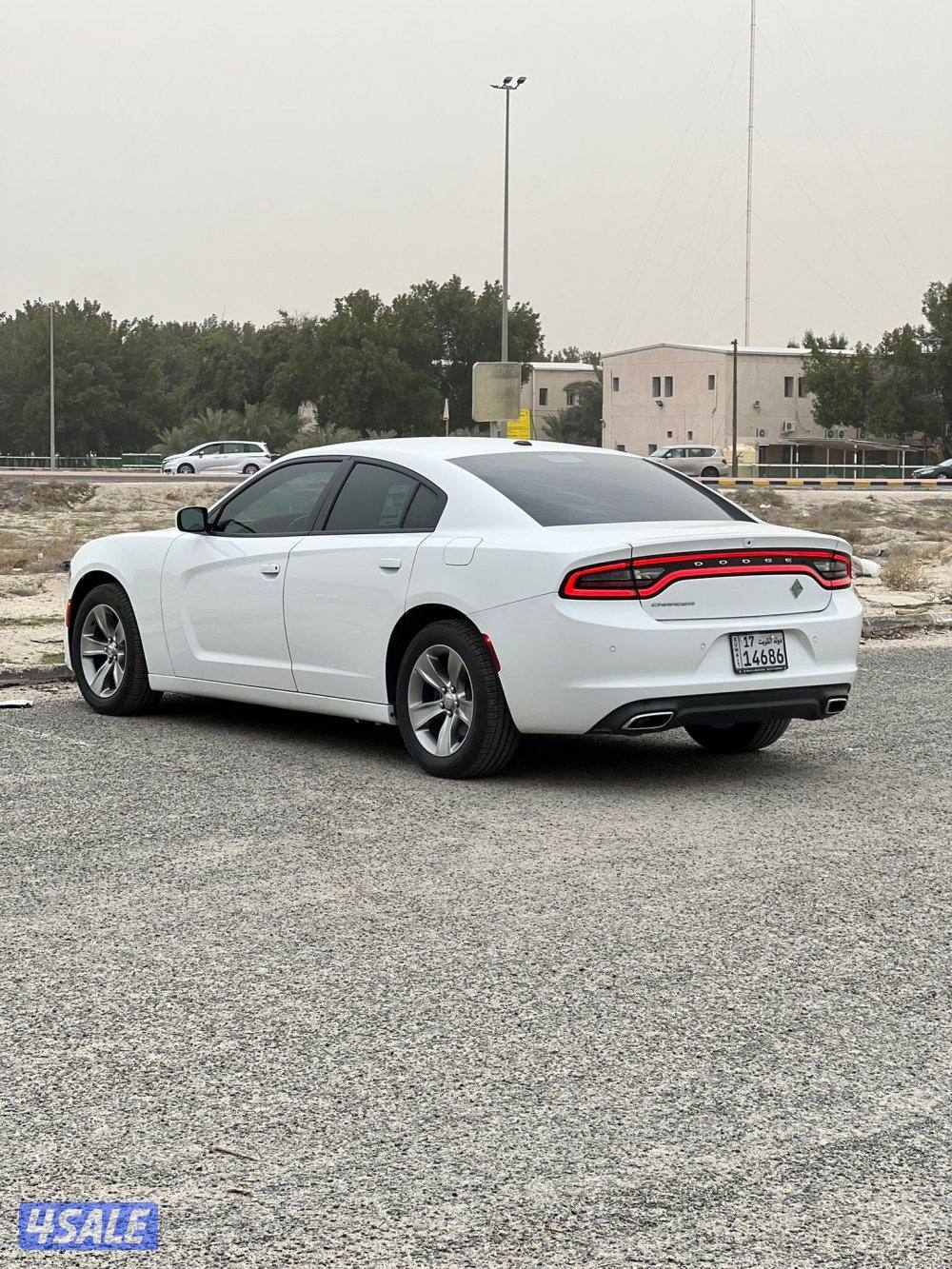 للبيع دوج بحاله نادره نضيفه جداا0