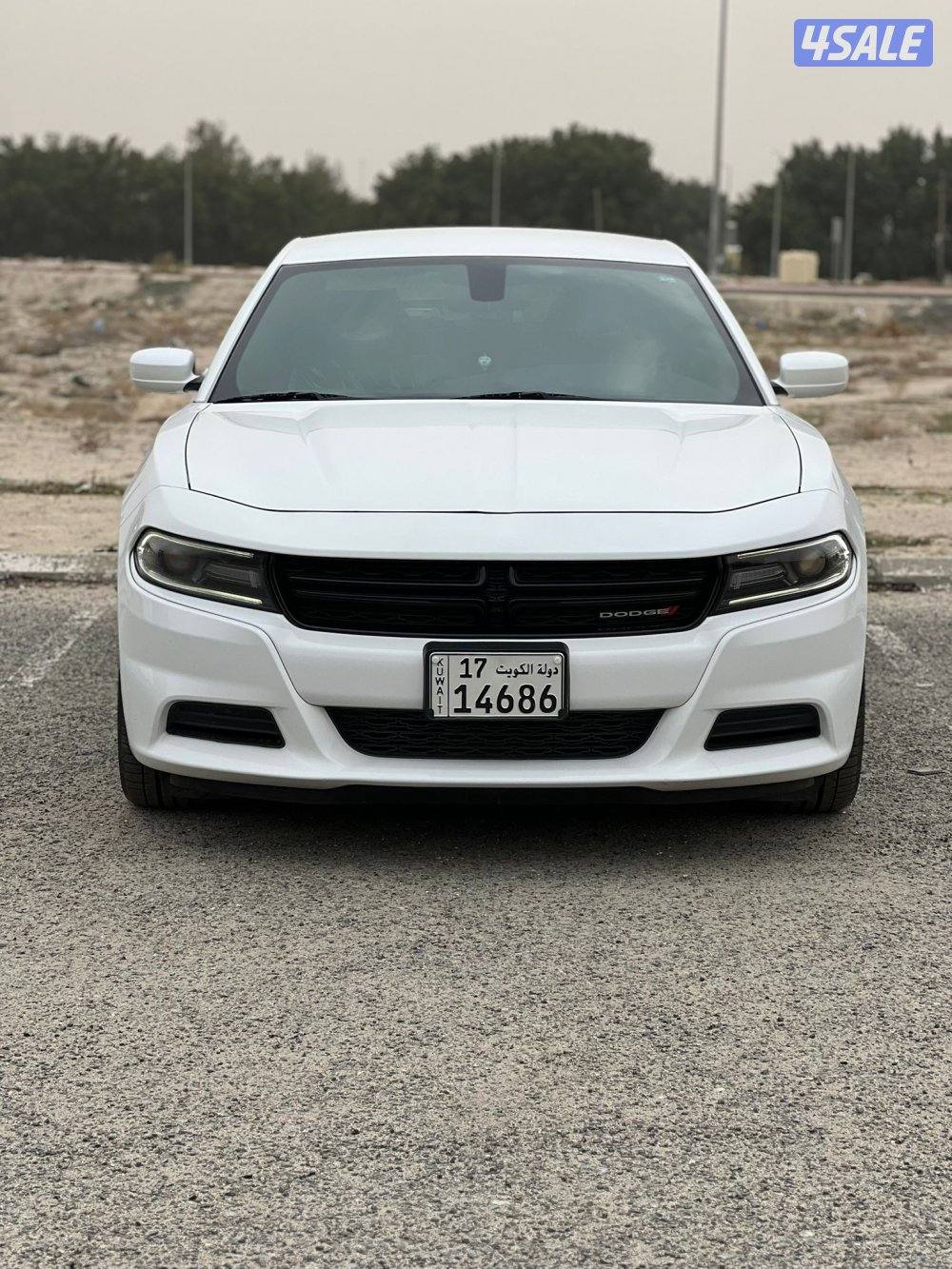 للبيع دوج بحاله نادره نضيفه جداا5