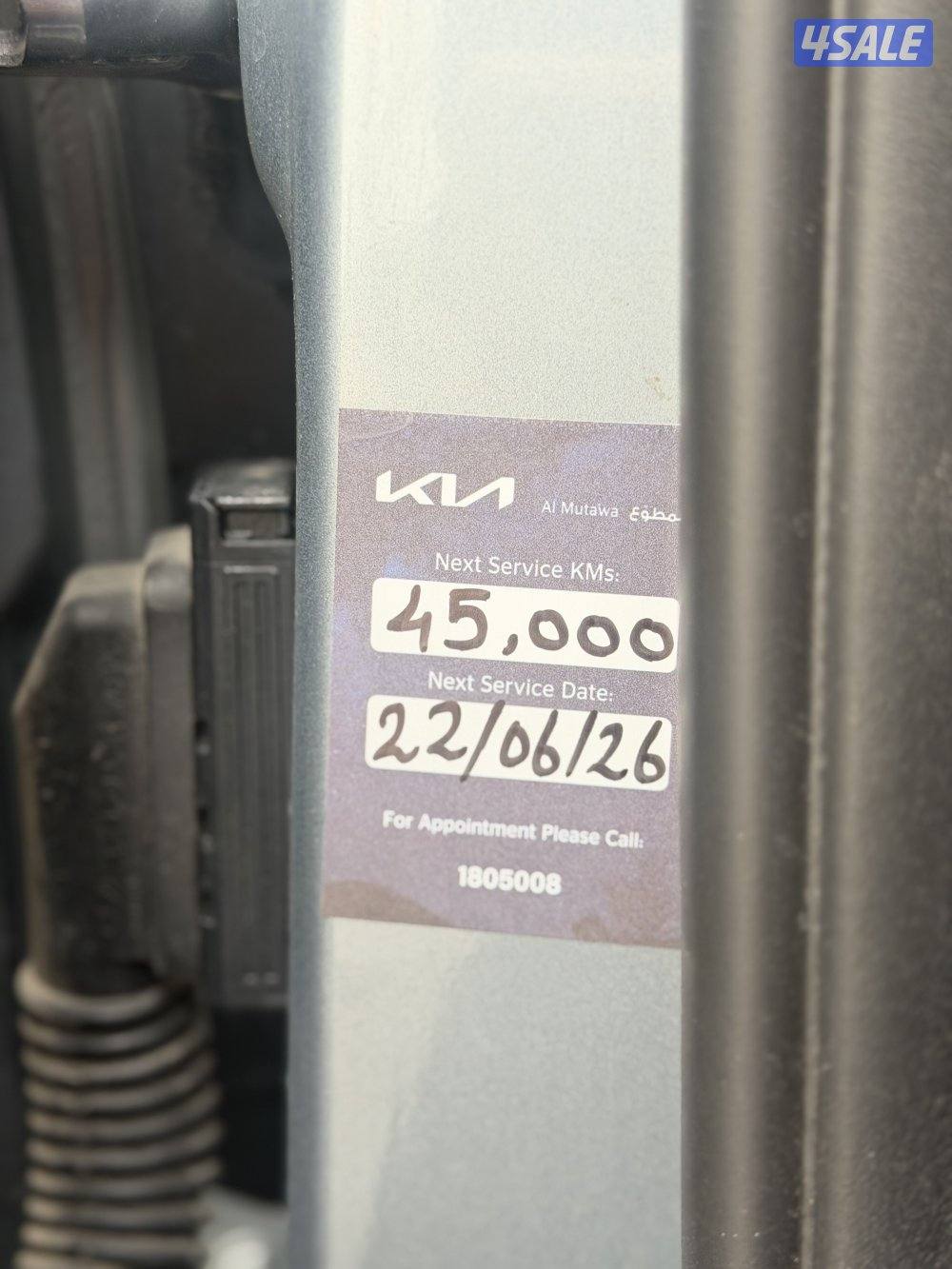 سبورتاج 2023 صبغ الوكالة7