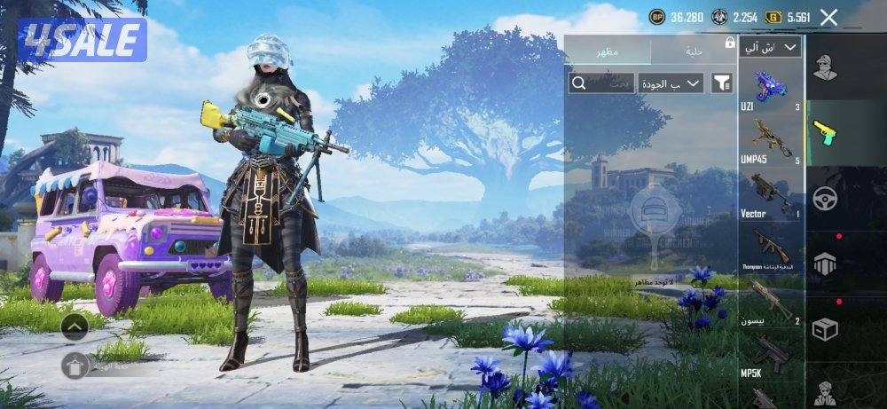 للبيع حساب ببجي4